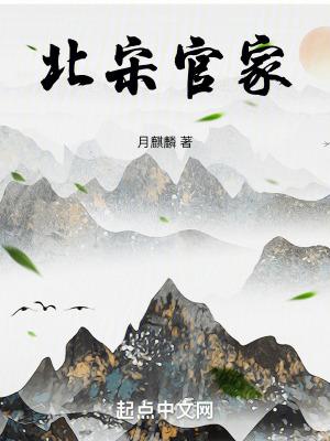 北宋官家起点中文网