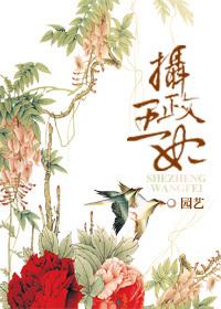 摄政王的穿越王妃