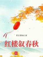 红楼叙春秋txt