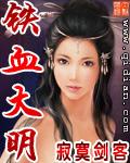 铁血大明 王不过霸