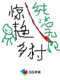 惊艳乡村全文免费阅读