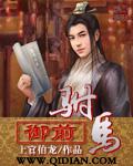 御前驸马书评