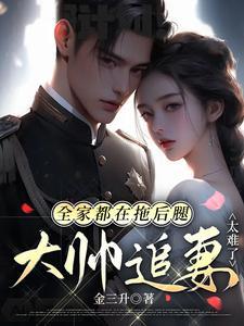 大帅追妻太难了TXT