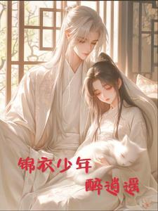 少年锦衣卫角色