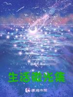 生活里的微光的理解