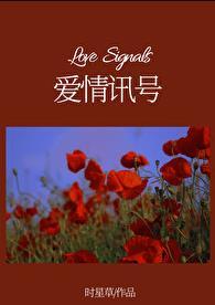 爱情讯号免费完整版