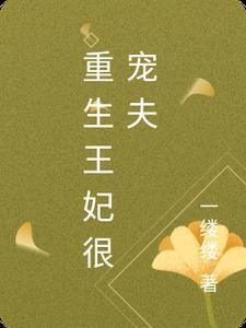 重生王妃宠夫记
