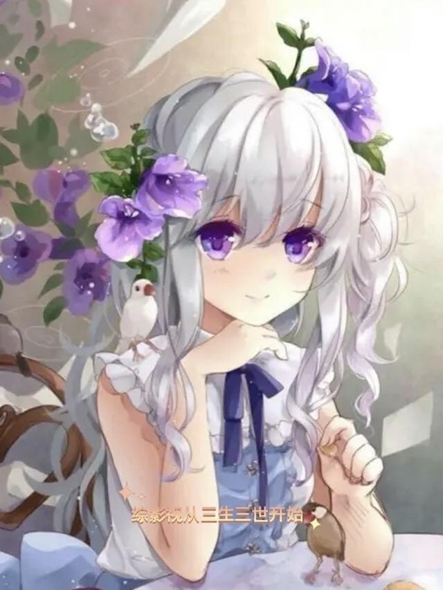 综影视从三生三世开始夏