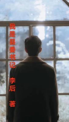 我当县委书记的日子