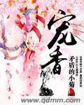 宠妃原著