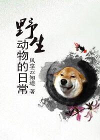 野生动物的日常by讲了什么