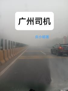 广州司机看手机撞车事件