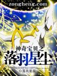 神奇宝贝之落羽星辰书评