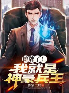 摊牌了我就是首富叶开