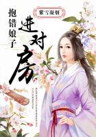 抱错娘子进对房书包