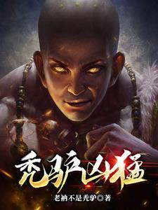 秃驴啥意思