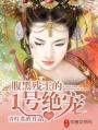 腹黑残王独宠妙手医妃txt
