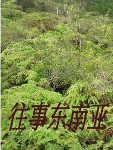 缅北人员如何处理