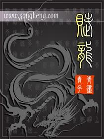 赋龙吟 龙吟酒 浓香型白酒52度500ml-BBT