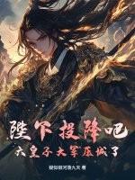 皇子造的飞机