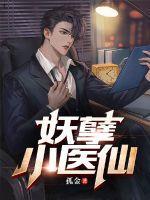 妖孽小医仙b
