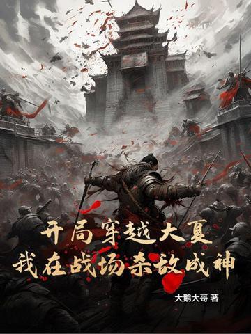 主角穿越到大夏国