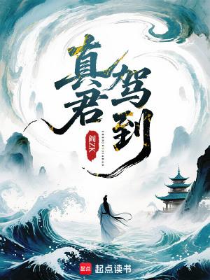 真君驾到好看吗