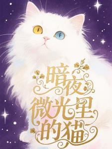 暗夜见微光600字