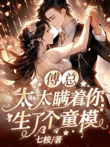 傅太太你已婚傅司辰