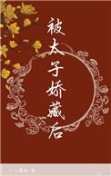 被太子娇藏后txt