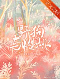 野狗与樱桃原著在线阅读