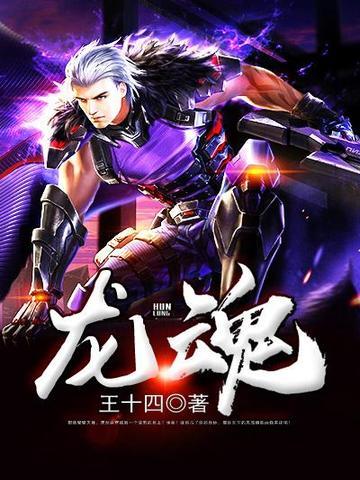 龙魂兵王陆铭