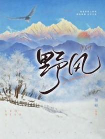 野风酥是山东老字号吗