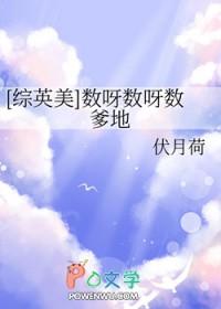 综英美数呀数呀数爹地免费