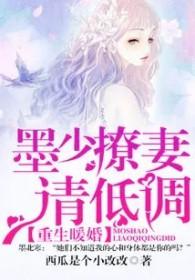重生暖婚墨少宠妻如命