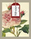 几度夕阳红全文免费阅读