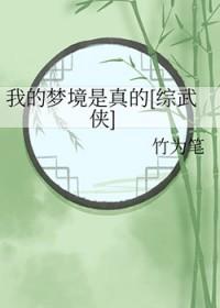 我的梦境是真的综武侠