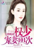 婚宠权少霸爱全文免费