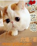 文艺的喵账号