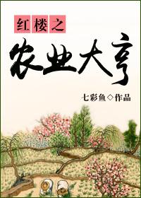 红楼之农业大亨TXT微盘