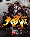 大武巅峰公益版V13