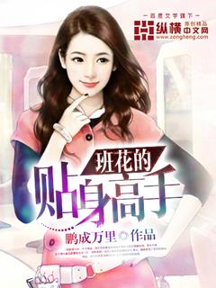 校花的贴身高手什么意思