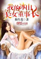 我的冰山美女董事长杨