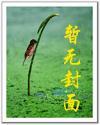 天价婚约总裁前妻很抢手全本