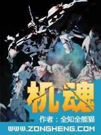 机魂风暴福冈牛