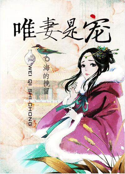 唯妻是宠海挽留TXT百度全文阅读