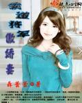 腹黑将军傲娇妻