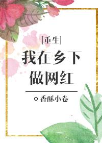 我在乡下做网红 重生百度