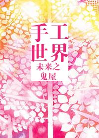 未来之手工世界林小海第一次见冯老